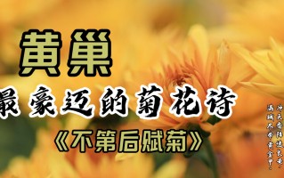 黄金甲歌词,黄金甲歌词完整版