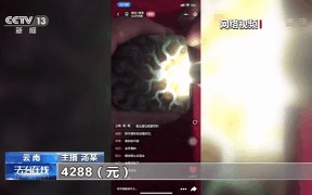 钢音翡翠原石的简单介绍