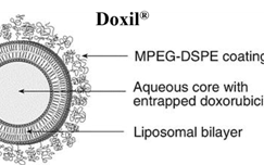 MDFormulations 买不到,mdformulations