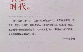 黄金时代王小波百度网盘黄金时代王小波