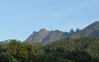 五峰如指翠相连，撑起灸荒半壁天