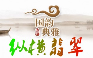 翡翠知识全解大全二十四方所解大全