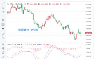 国际黄金今日价格最新国际黄金今日价格最新报价