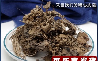 土金耳环草药真实图片金耳环草药长什么样子的