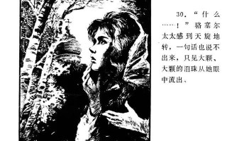 项链莫泊桑故事情节概括,《项链》莫泊桑