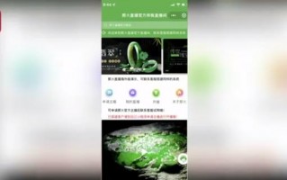 买卖翡翠原石app,哪里的翡翠原石好