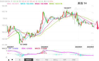 主次节奏：美指日内线下行测试102.20，后市恐数据影响反转