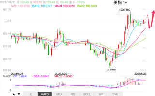 主次节奏：美指突破区间上沿，日内震荡上扬
