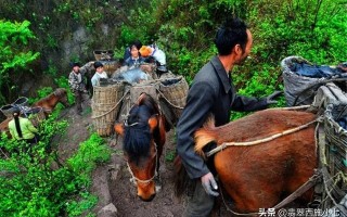 翡翠原石哪里买,缅甸翡翠原石如何进口