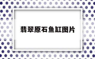 翡翠原石鱼缸图片翡翠原石设计图