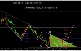 任天成：11.8日黄金原油继续昨日未完成的回落