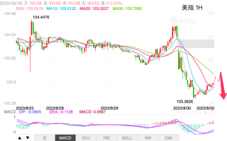 主次节奏：美指103.70价位支撑变阻力，日内继续下行