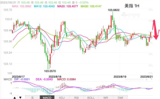 主次节奏：美指冲高103.6受阻，回落区间内运行