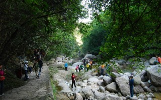 黄山翡翠谷,黄山翡翠谷景区详细介绍