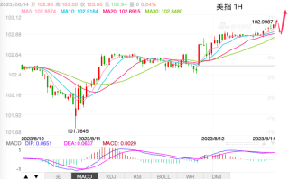 主次节奏：美指日内继续上涨，直逼103.50