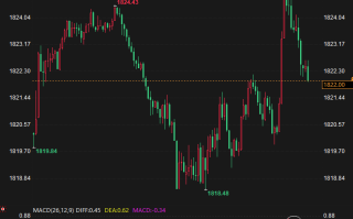 金价上涨触及1825美元，小心非农引发金价剧烈波动