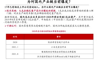 培育钻石行业分析,培育钻石行业分析怎么写