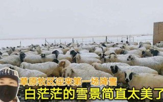 直播全国多地迎来降雪i北京强降雨直播