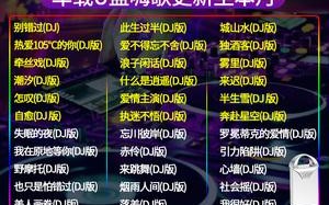 2021抖音最火dj歌20首2021年抖音最火的十首DJ歌曲