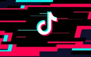 91抖抈国际版app下载,抖音国际版tiktok