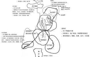 包含白底翡翠原石图片的词条