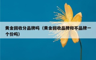 目前黄金回收价格是多少钱一克,目前黄金回收价格是多少钱一克目前泉州一亩地多少钱