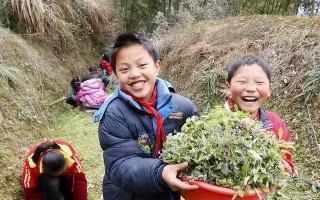 珍珠翡翠白玉汤的珍珠是什么珍珠翡翠白玉汤知识题