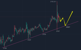 包含2022年黄金会跌300以下吗的词条