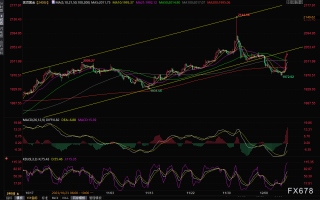 金价暴涨后停止看跌修正！黄金最新日内交易分析：下一主要目标2065.70