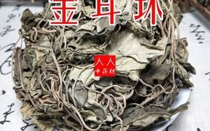 金耳环草药长什么样子的金耳环草药功效