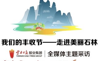 翡翠原石加工图片,文山原石翡翠定制