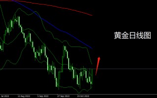 黄金市场最新价格一克黄金市场最新价格