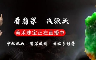 翡翠和玉石有什么区别哪个好？