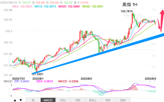 主次节奏：美指短线持续上涨，奔向中期阻力103.50