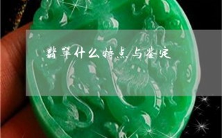 菌种鉴定翡翠知识菌种鉴定翡翠知识点总结