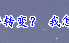 美元反弹是趋势转变？ 我怎么就不相信呢！