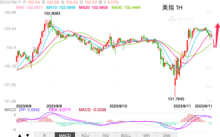 主次节奏：美指周级别矩形中继，日内调整测试区间上沿102.80