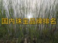 中国珠宝十大名牌排名,中国珠宝十大名牌排名第一