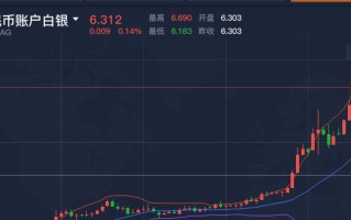 纸铂金今日行情,纸铂金走势预测及分析