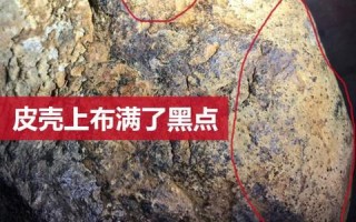 翡翠原石水沫,翡翠原石水沫玉共生