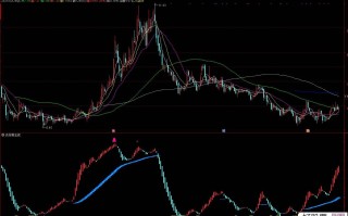 黄金投资网站源码正规黄金投资交易平台