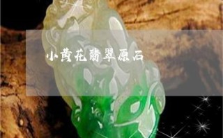 大翡翠原石小视频图大翡翠原石小视频