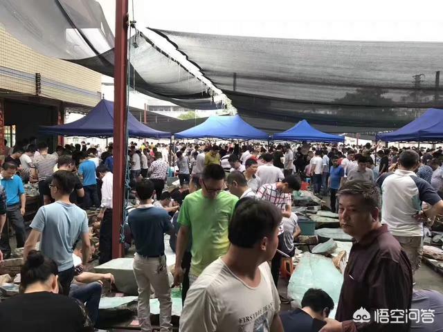 翡翠在中国还能流行多久？-第24张图片-翡翠网