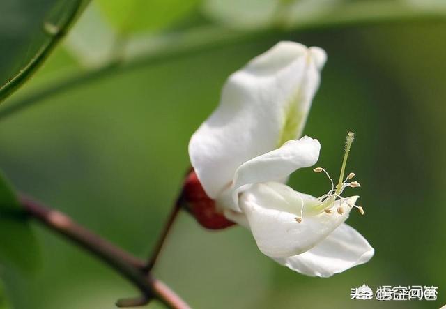 哪本书让你泪如雨下？-第2张图片-翡翠网