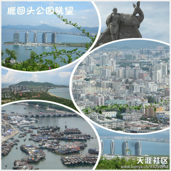 三亚一家三口旅游防宰指南，冬季我们在三亚邂逅。-第6张图片-翡翠网