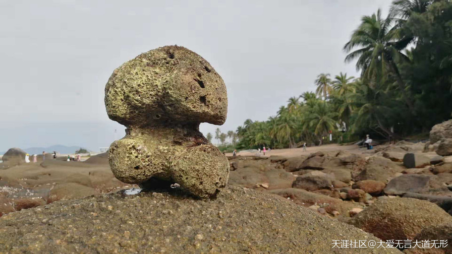 大小洞天畅游系列：赶海的早晨-第5张图片-翡翠网