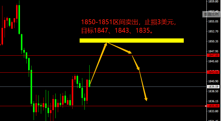 宗校立：激进还是保守？美元今日给出答案！-第3张图片-翡翠网