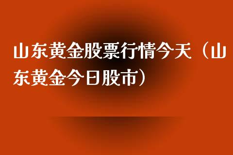 山东黄金价格山东黄金怎么样-第1张图片-翡翠网