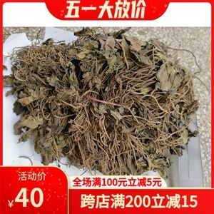 草药耳环根图片,耳环草的性味归经与功效-第2张图片-翡翠网