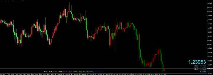 段雄伟：英镑跌破1.24000 日内跌幅0.08%-第1张图片-翡翠网